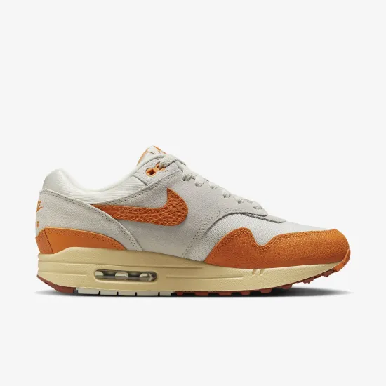 Кросівки Nike Air Max 1 DZ4709-001