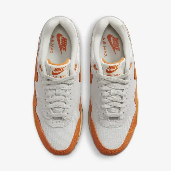 Кросівки Nike Air Max 1 DZ4709-001
