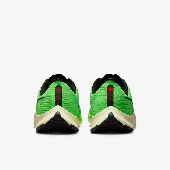 Кросівки Nike Air Zoom Rival Fly 3 DZ4775-304