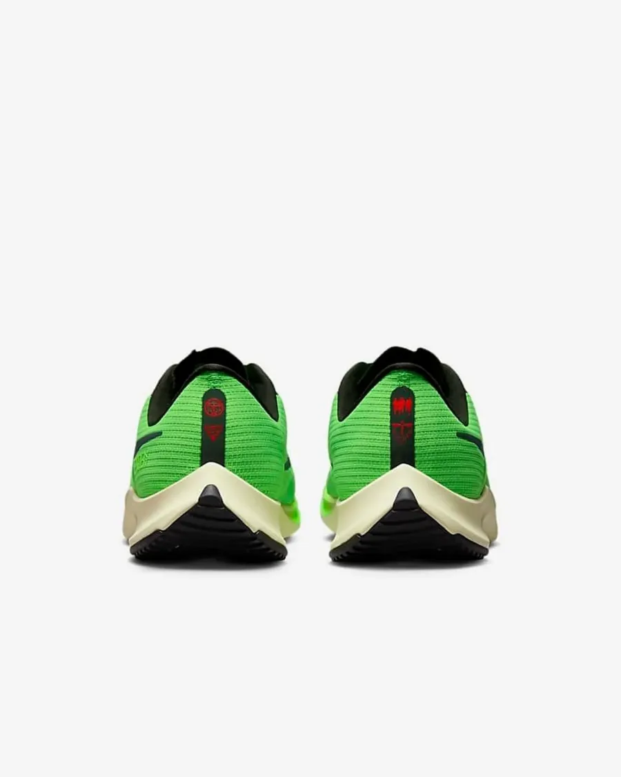 Кросівки Nike Air Zoom Rival Fly 3 DZ4775-304