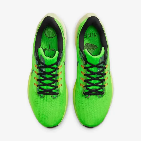 Кросівки Nike Air Zoom Pegasus 39 DZ4776-343