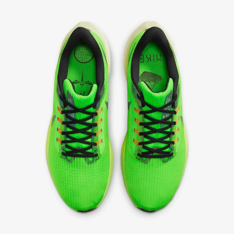Кросівки Nike Air Zoom Pegasus 39 DZ4776-343