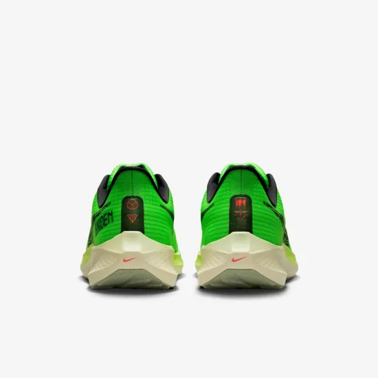 Кросівки Nike Air Zoom Pegasus 39 DZ4776-343