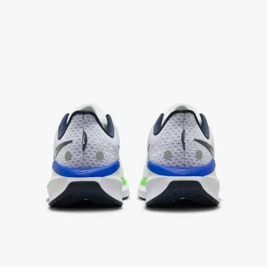 Кросівки Nike Vomero 17 Road Running FB1309-100