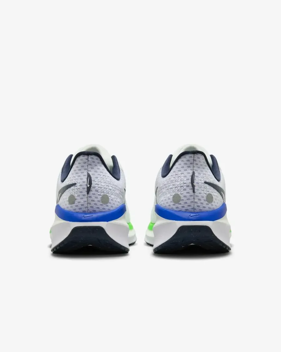 Кросівки Nike Vomero 17 Road Running FB1309-100