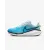 Кросівки Nike Vomero 17 FB1309-401