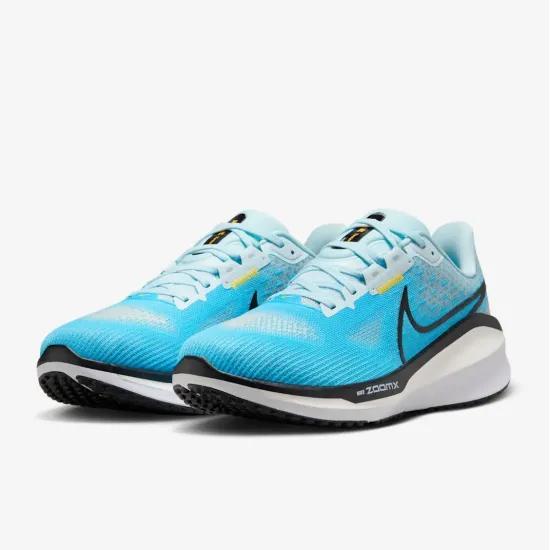 Кросівки Nike Vomero 17 FB1309-401