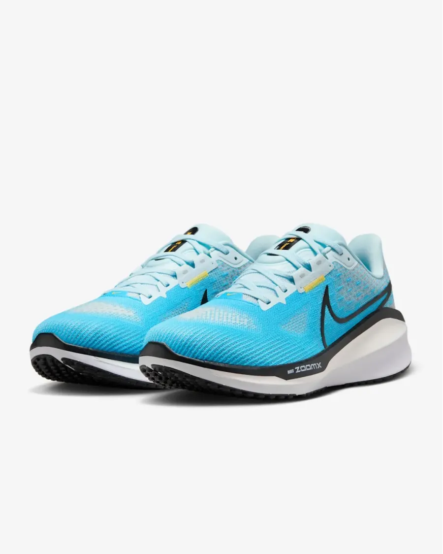 Кросівки Nike Vomero 17 FB1309-401