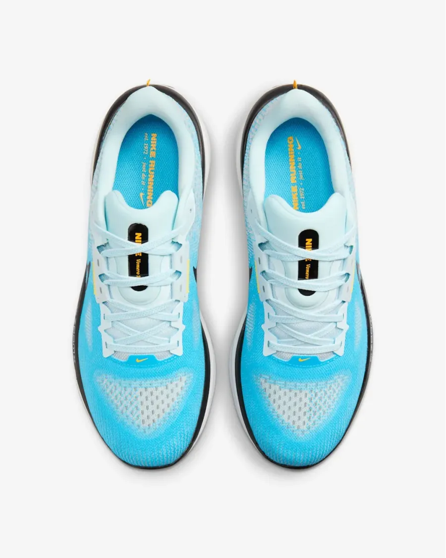 Кросівки Nike Vomero 17 FB1309-401