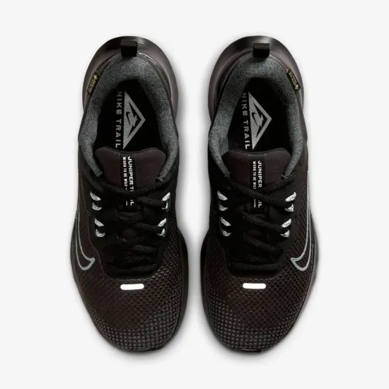 Кросівки Nike Juniper Trail 2 Gore-Tex FB2065-001