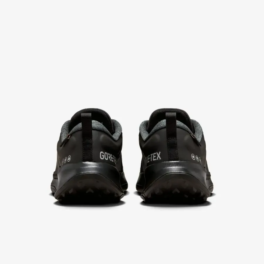 Кросівки Nike Juniper Trail 2 Gore-Tex FB2065-001