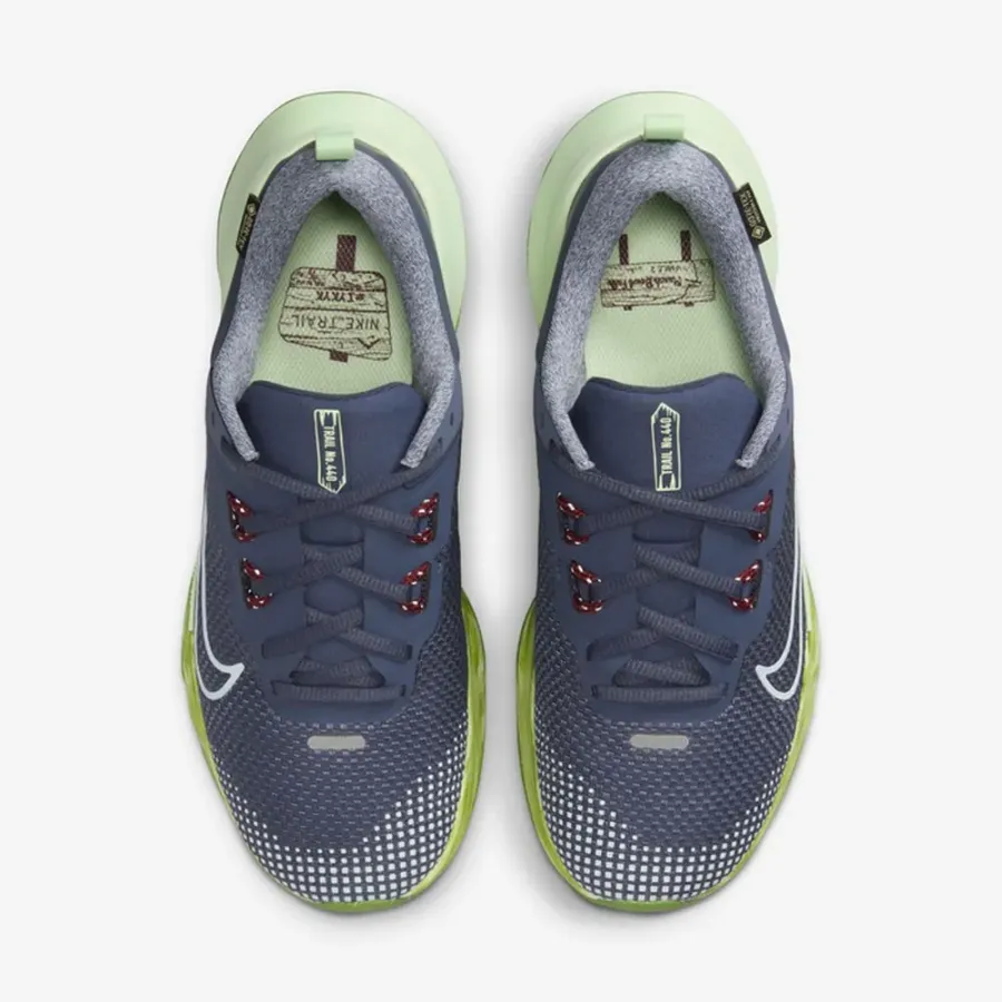 Кросівки Nike Juniper Trail 2 Gore-Tex FB2065-403