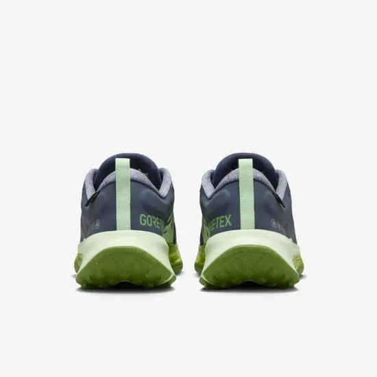 Кросівки Nike Juniper Trail 2 Gore-Tex FB2065-403
