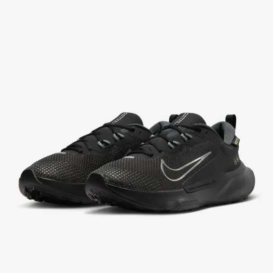 Кросівки Nike Juniper Trail 2 Gore-Tex FB2067-001
