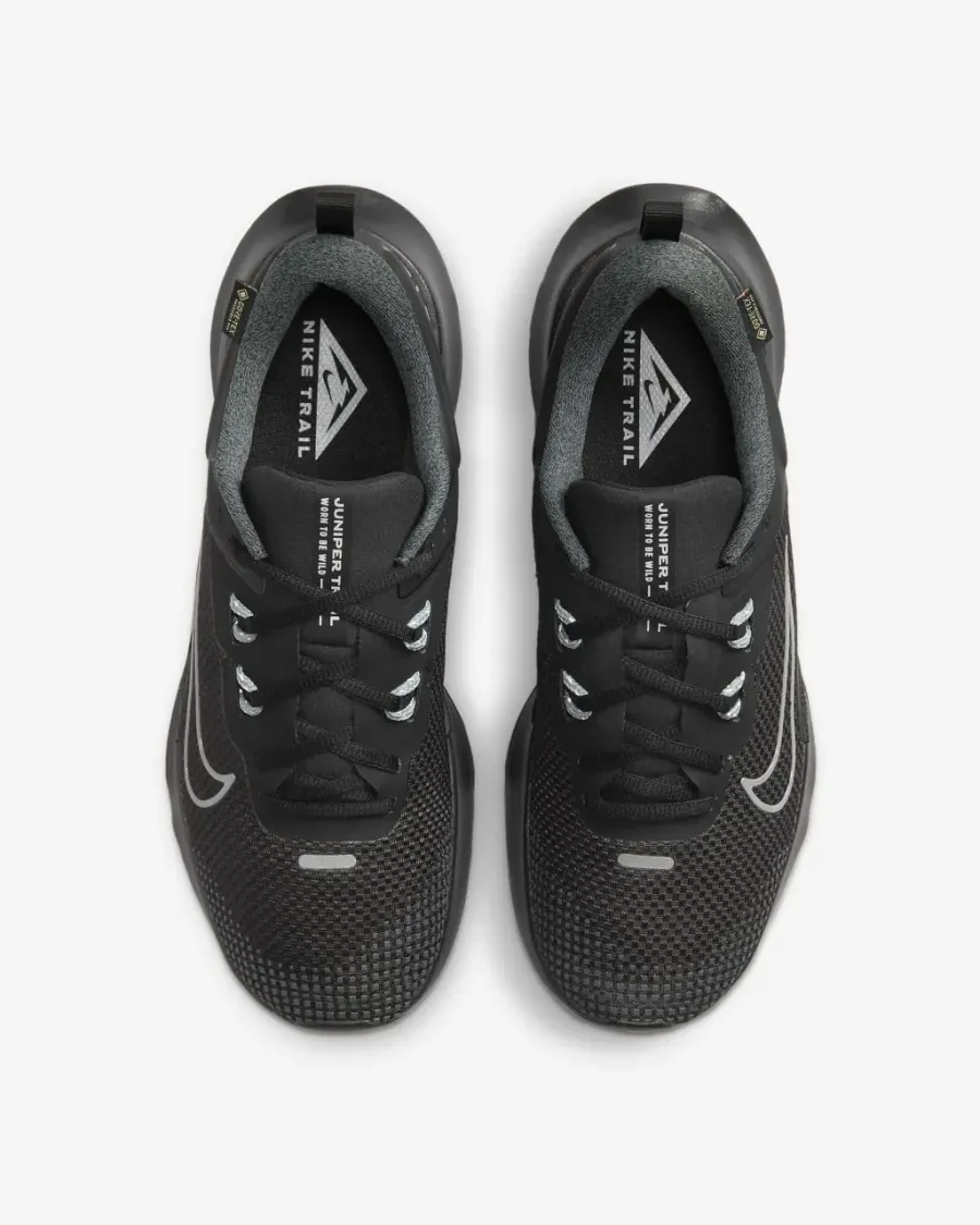 Кросівки Nike Juniper Trail 2 Gore-Tex FB2067-001