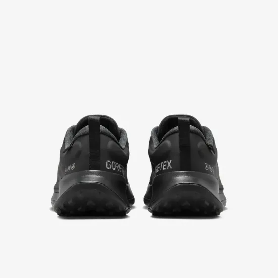 Кросівки Nike Juniper Trail 2 Gore-Tex FB2067-001