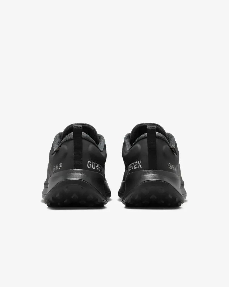 Кросівки Nike Juniper Trail 2 Gore-Tex FB2067-001