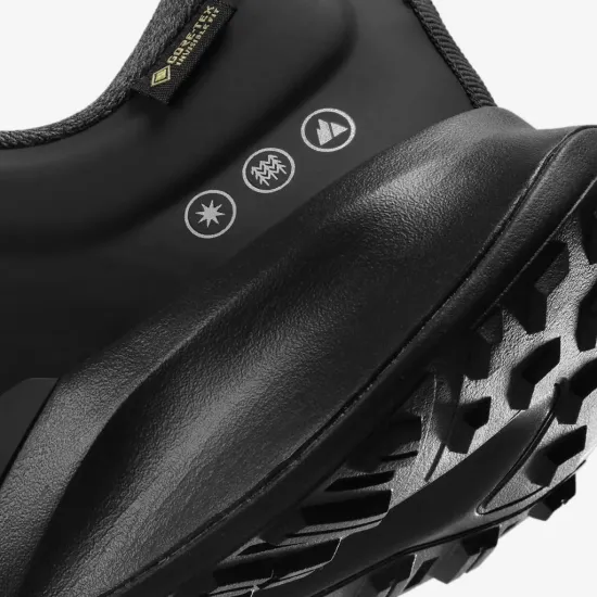 Кросівки Nike Juniper Trail 2 Gore-Tex FB2067-001