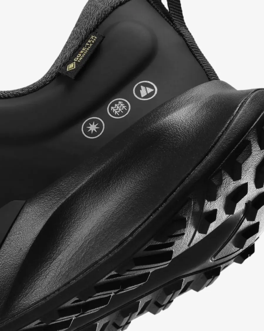 Кросівки Nike Juniper Trail 2 Gore-Tex FB2067-001