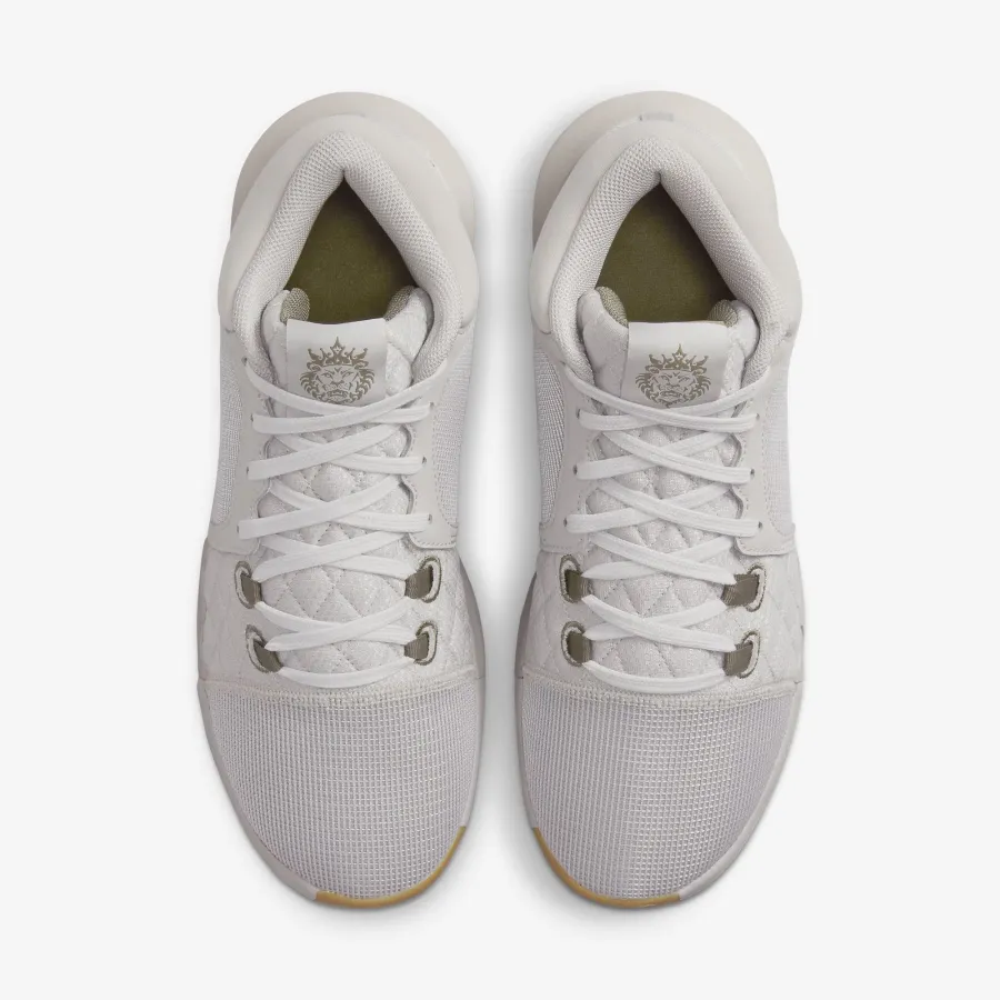 Кросівки Nike Lebron Witness 8 FB2239-003