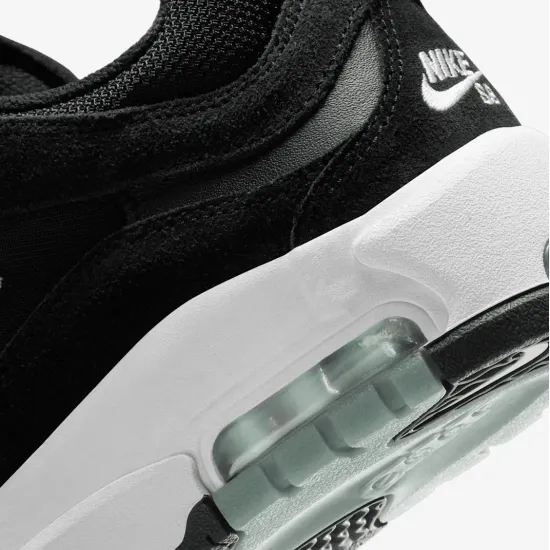 Кросівки Nike SB Air Max Ishod Wair FB2393-004