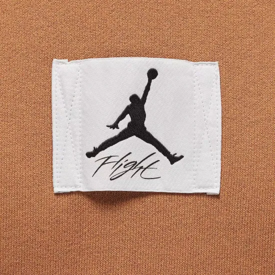Кофта Nike Air Jordan Essentials Fleece FB6932-231