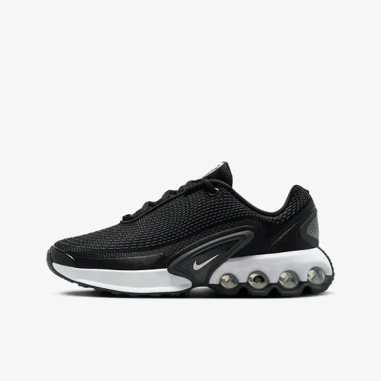 Кросівки Nike Air Max Dn FB8987-007