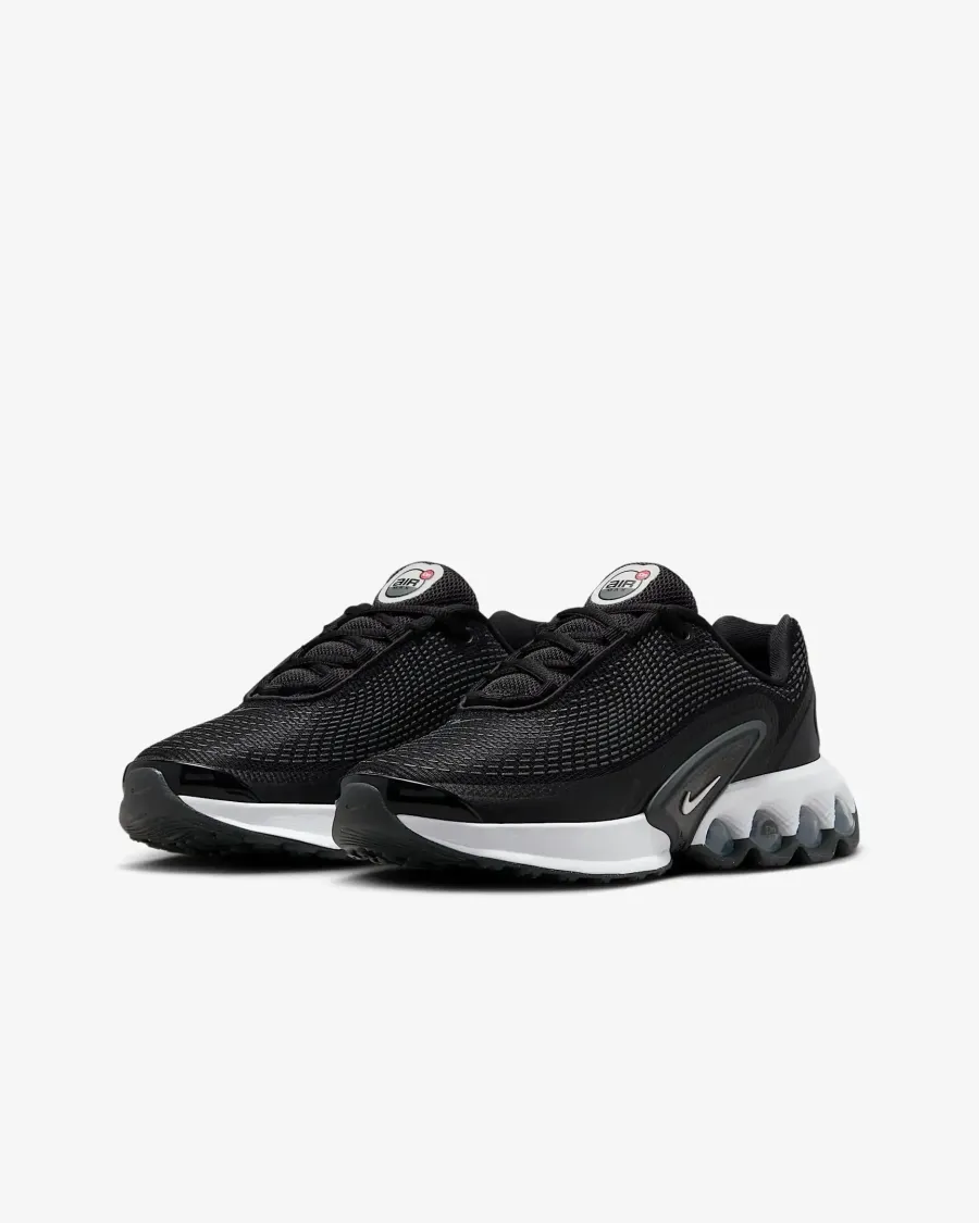 Кросівки Nike Air Max Dn FB8987-007