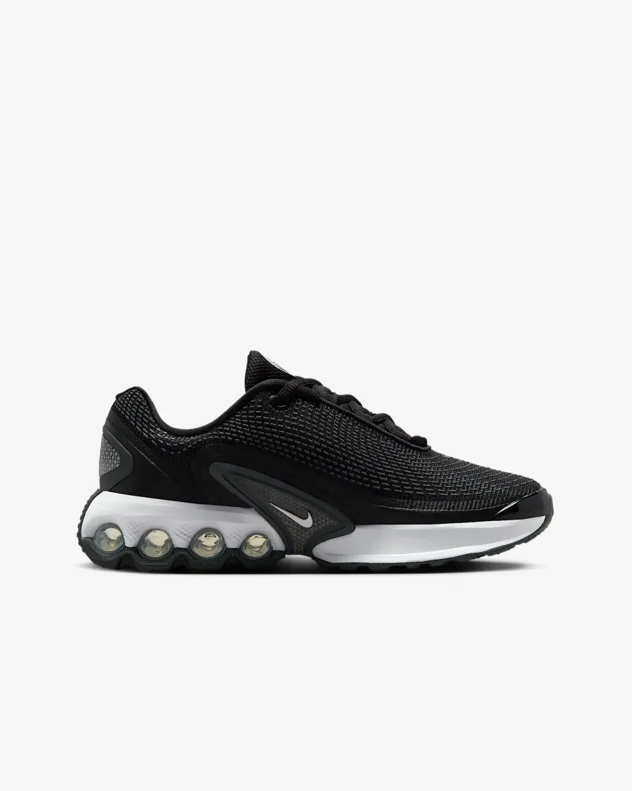 Кросівки Nike Air Max Dn FB8987-007