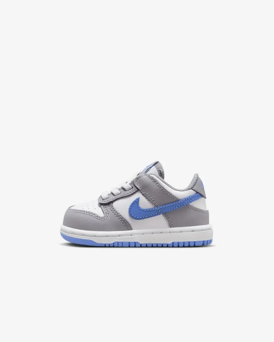 Кросівки Nike Dunk Low FB9107-121