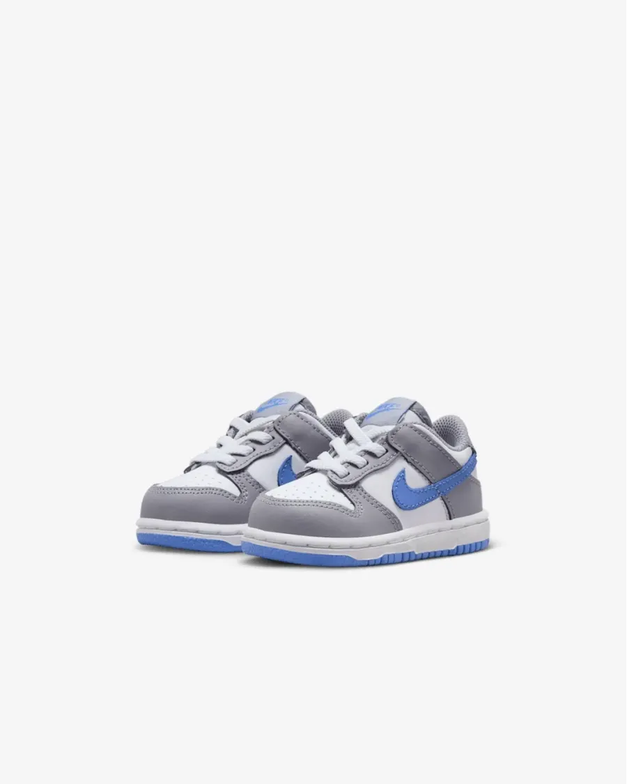 Кросівки Nike Dunk Low FB9107-121