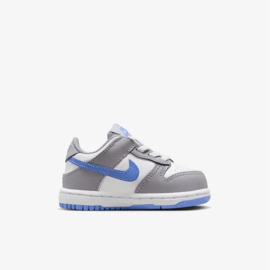 Кросівки Nike Dunk Low FB9107-121
