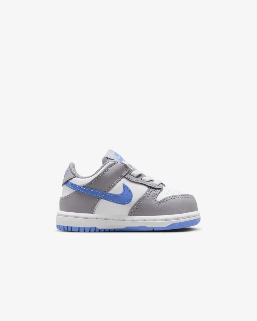 Кросівки Nike Dunk Low FB9107-121