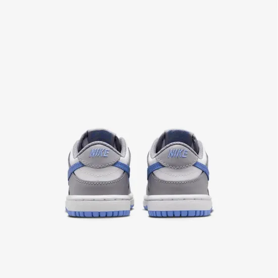 Кросівки Nike Dunk Low FB9107-121