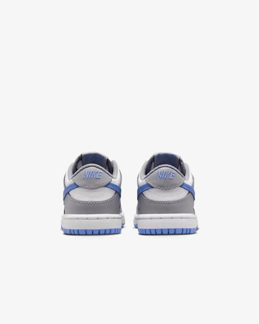 Кросівки Nike Dunk Low FB9107-121