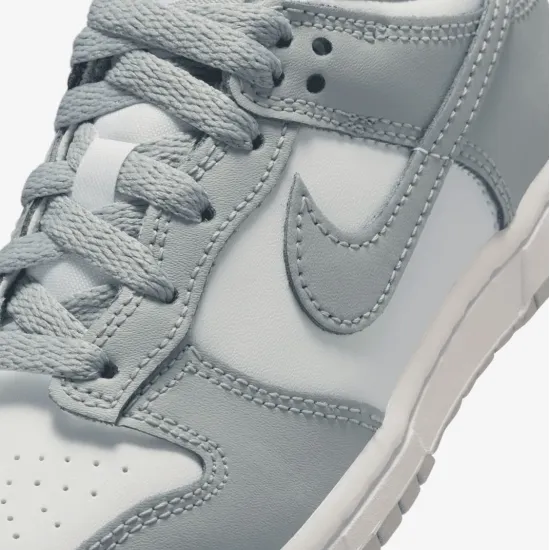 Кросівки Nike Dunk Low FB9108-123
