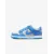 Кросівки Nike Dunk Low FB9109-004