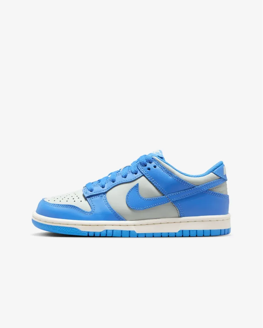 Кросівки Nike Dunk Low FB9109-004