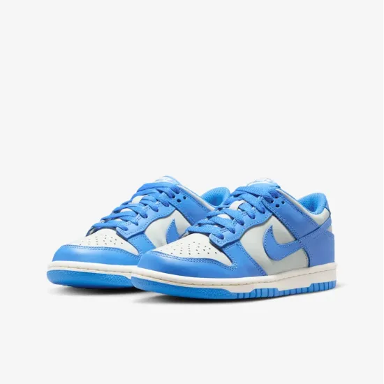 Кросівки Nike Dunk Low FB9109-004