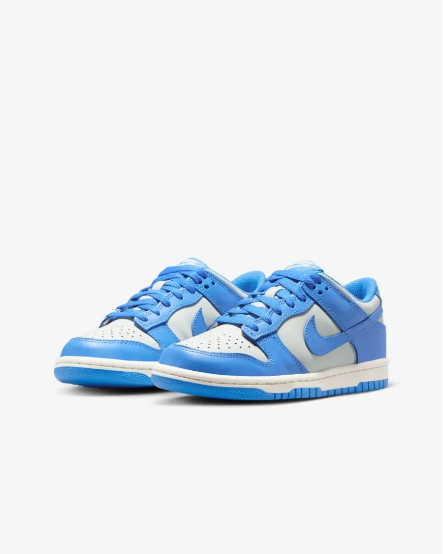 Кросівки Nike Dunk Low FB9109-004