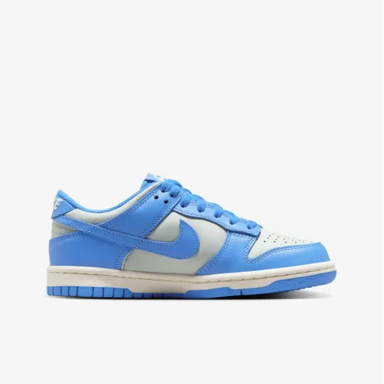 Кросівки Nike Dunk Low FB9109-004