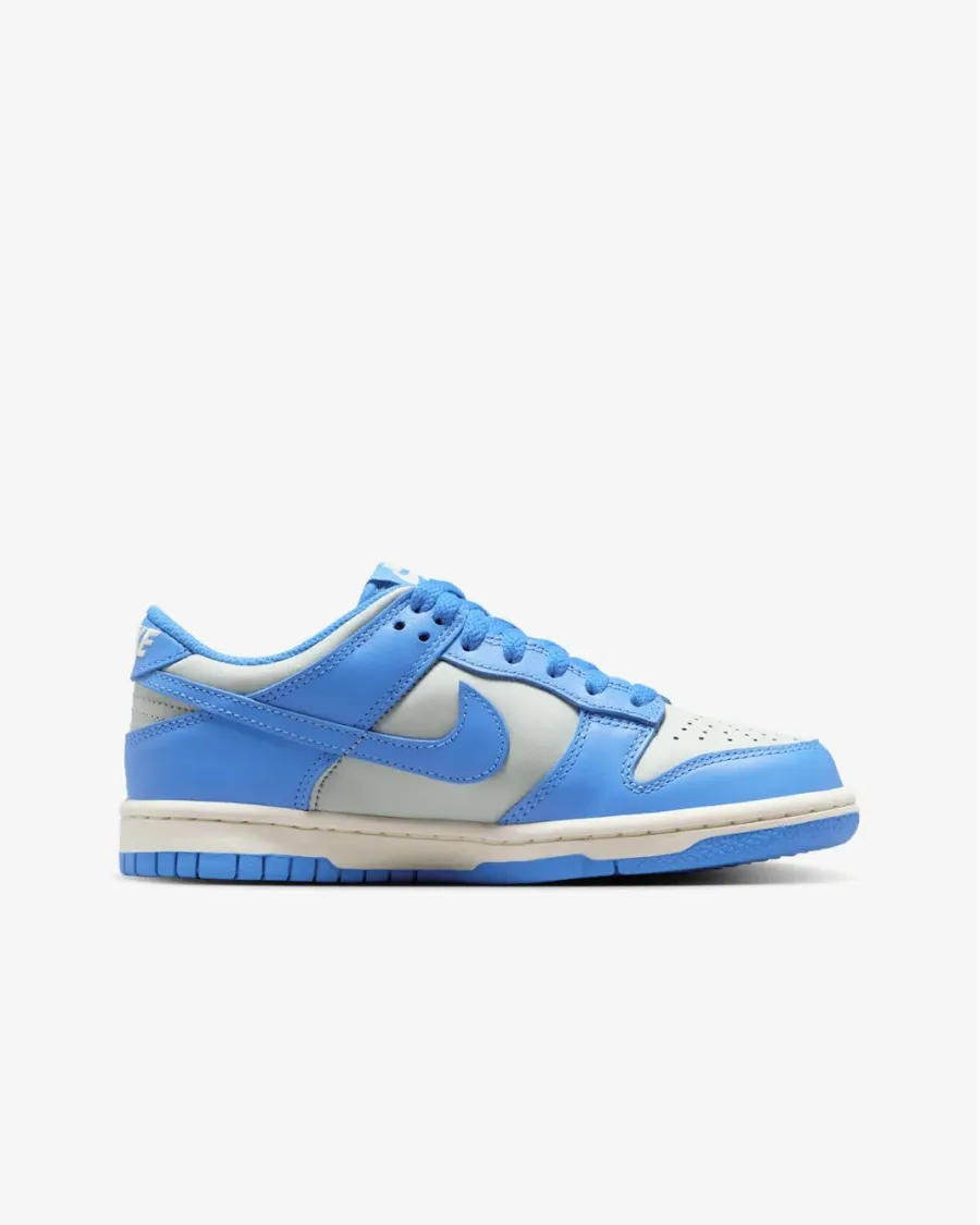 Кросівки Nike Dunk Low FB9109-004