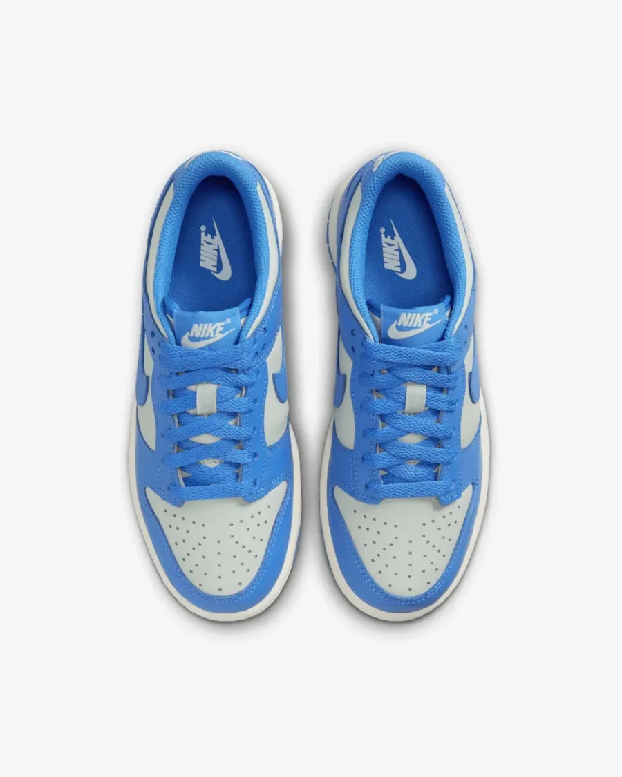 Кросівки Nike Dunk Low FB9109-004