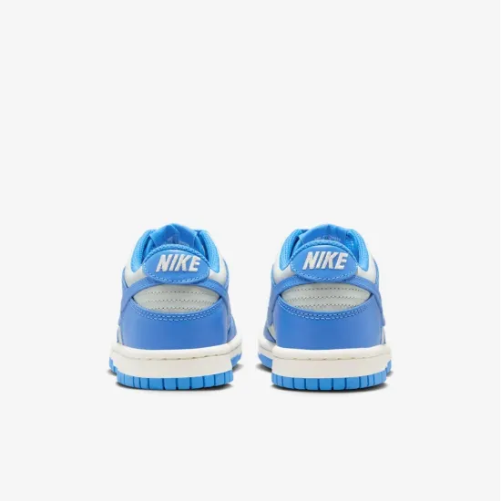 Кросівки Nike Dunk Low FB9109-004