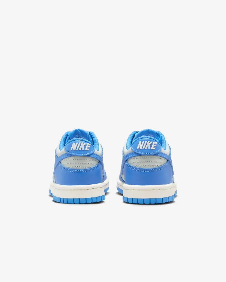 Кросівки Nike Dunk Low FB9109-004