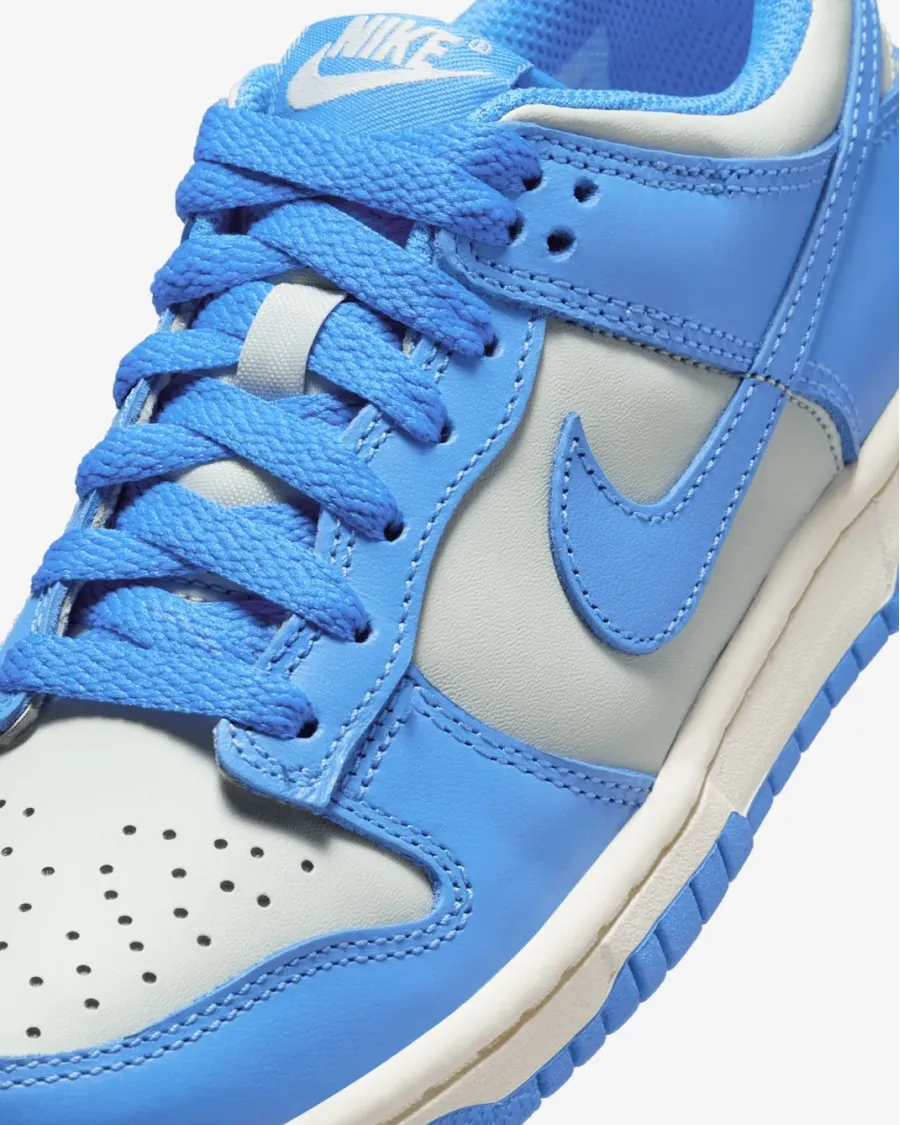 Кросівки Nike Dunk Low FB9109-004