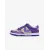 Кросівки Nike Dunk Low FB9109-007