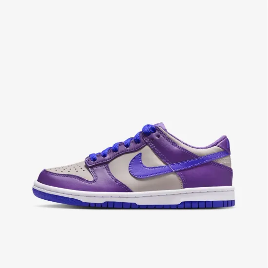 Кросівки Nike Dunk Low FB9109-007