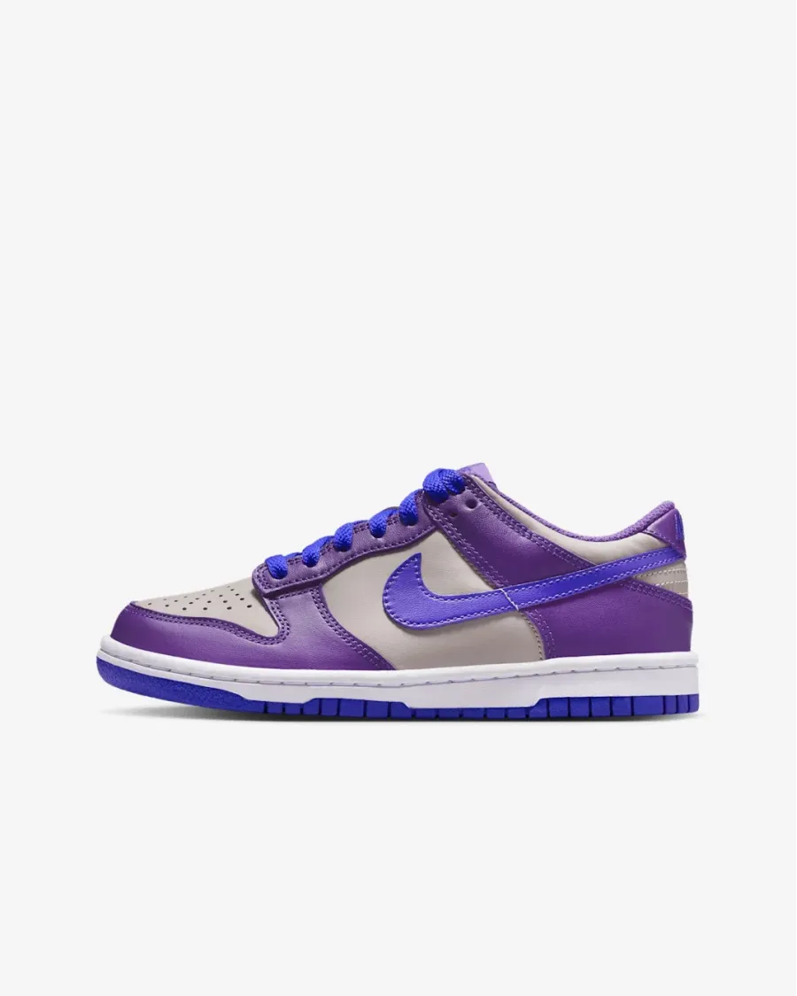 Кросівки Nike Dunk Low FB9109-007