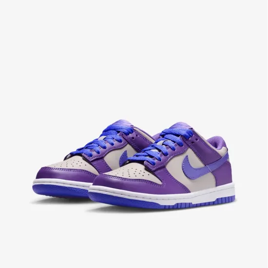 Кросівки Nike Dunk Low FB9109-007